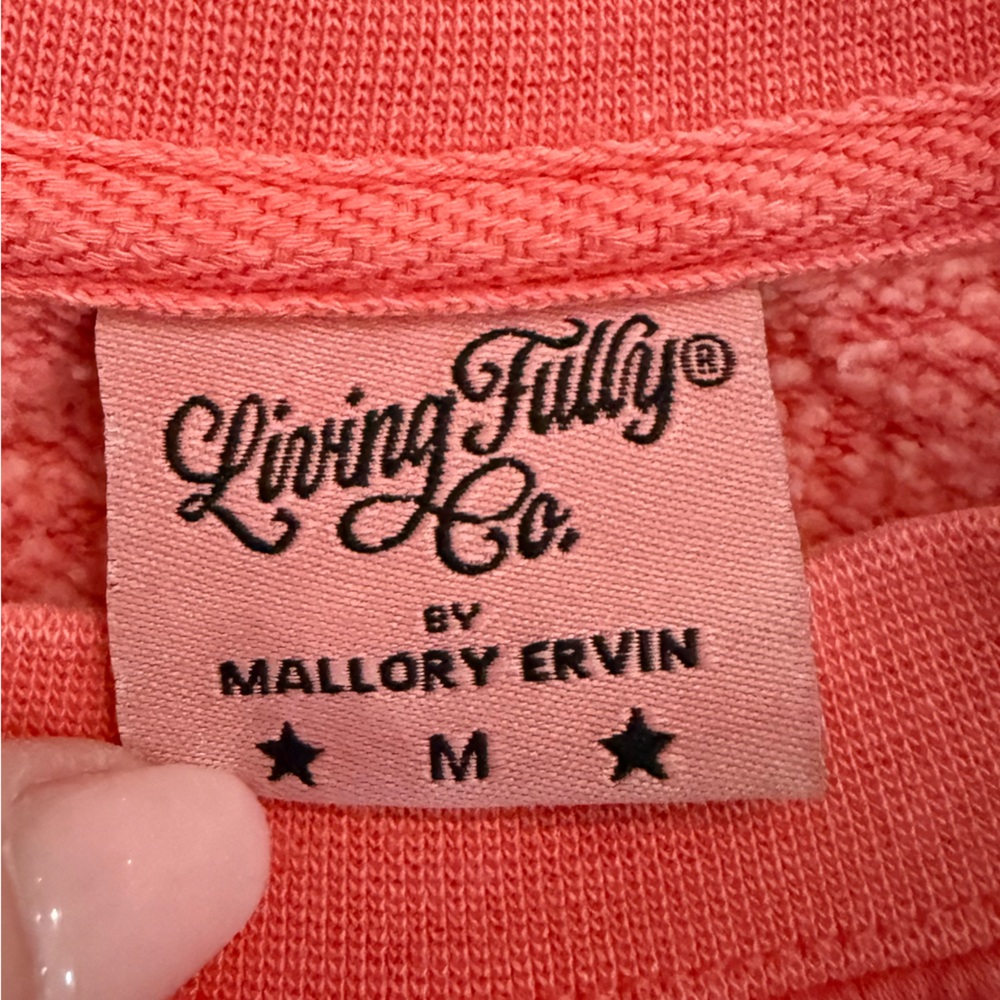 NEW Living Fully Co Flag Fruit Salad Sweatshirt size medium - Picture 4 of 5